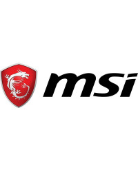 MSI